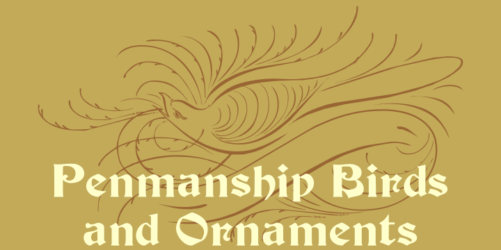 Penmanship Birds and Ornaments